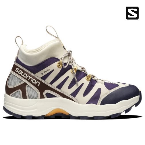 Tenis Salomon Xa Pro 1 Mid GTX Masculino Multicoloridas | PT T62890